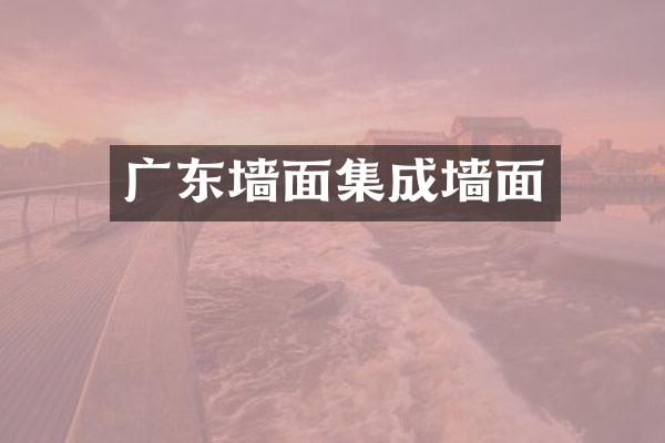 广东墙面集成墙面