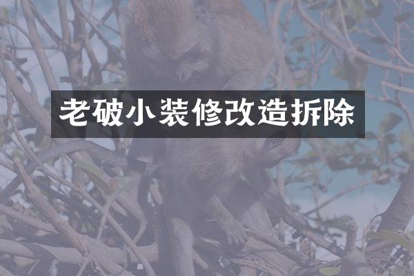 老破小装修改造拆除