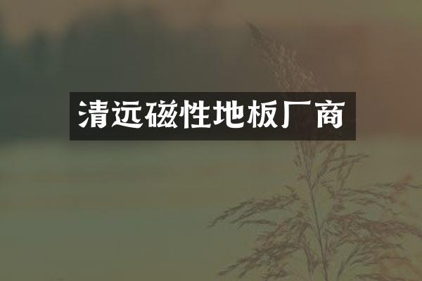 清远磁性地板厂商