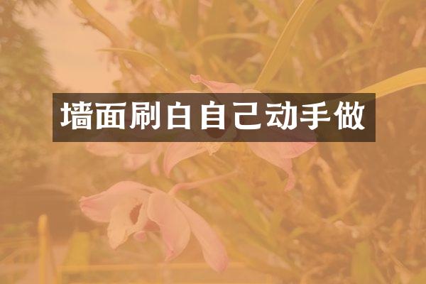 墙面刷白自己动手做