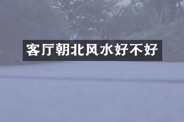 客厅朝北风水好不好