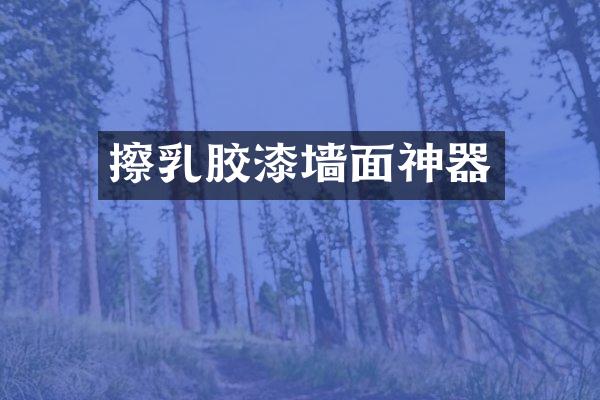 擦乳胶漆墙面神器