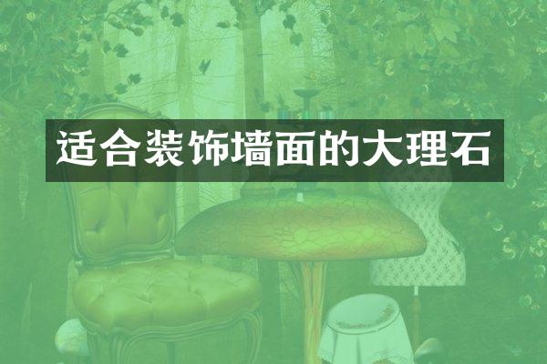适合装饰墙面的大理石