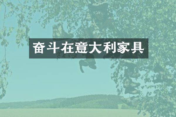 奋斗在意大利家具