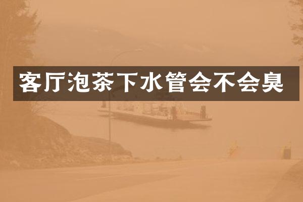 客厅泡茶下水管会不会臭