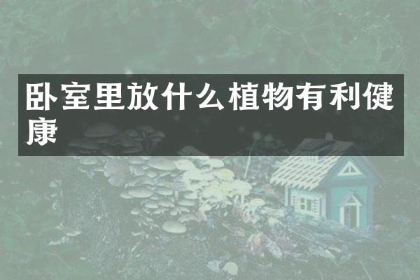 卧室里放什么植物有利健康