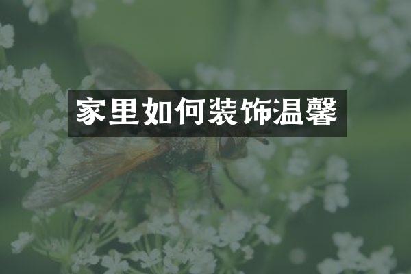 家里如何装饰温馨