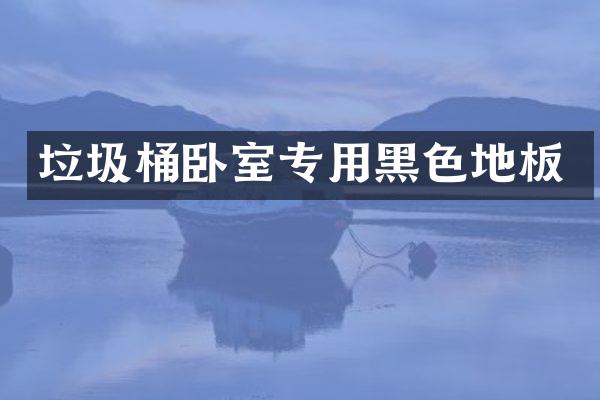 垃圾桶卧室专用黑色地板