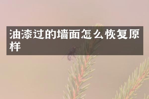油漆过的墙面怎么恢复原样