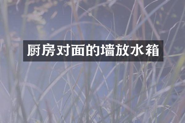 厨房对面的墙放水箱