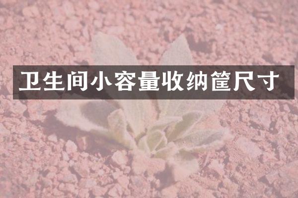 卫生间小容量收纳筐尺寸