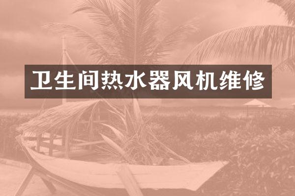 卫生间热水器风机维修