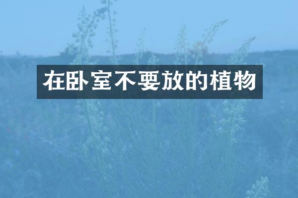 在卧室不要放的植物