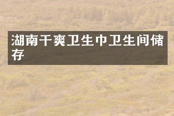 湖南干爽卫生巾卫生间储存