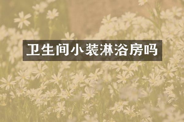 卫生间小装淋浴房吗