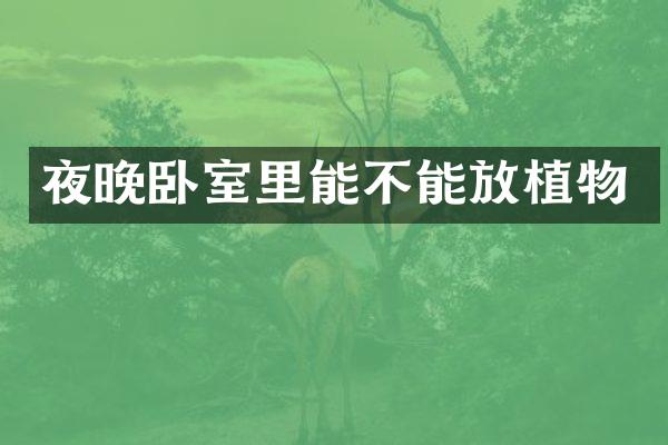 夜晚卧室里能不能放植物