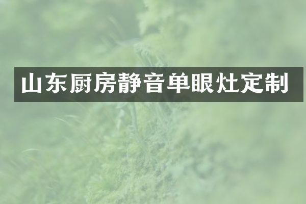 山东厨房静音单眼灶定制