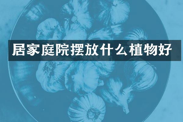居家庭院摆放什么植物好