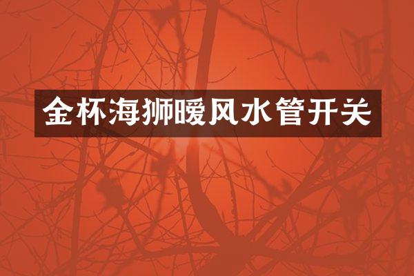 金杯海狮暧风水管开关