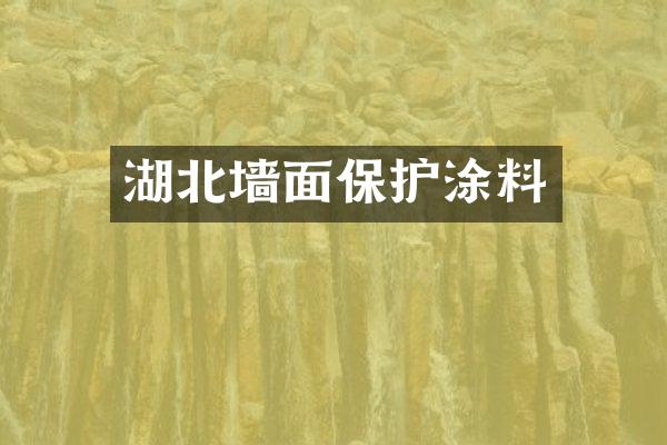 湖北墙面保护涂料