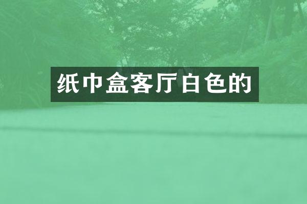 纸巾盒客厅白色的