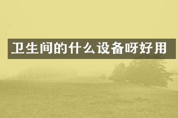 卫生间的什么设备呀好用
