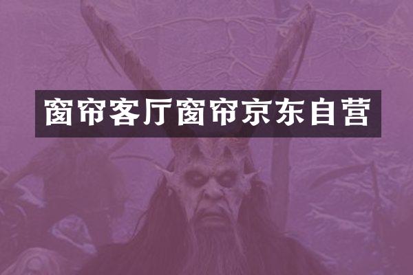窗帘客厅窗帘京东自营