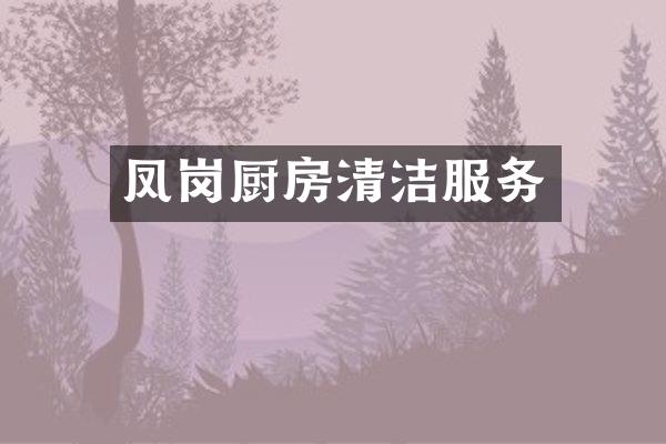 凤岗厨房清洁服务