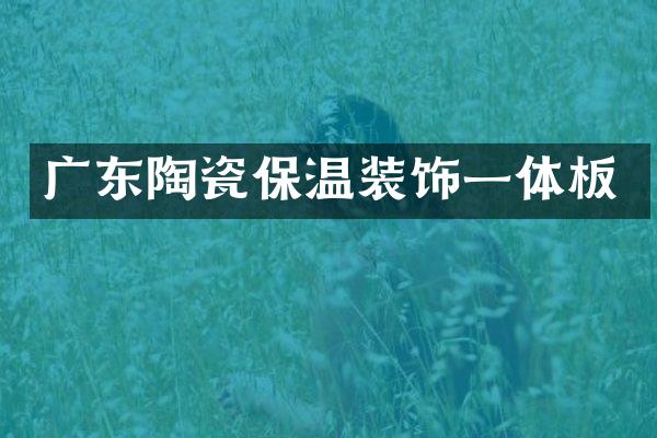 广东陶瓷保温装饰一体板