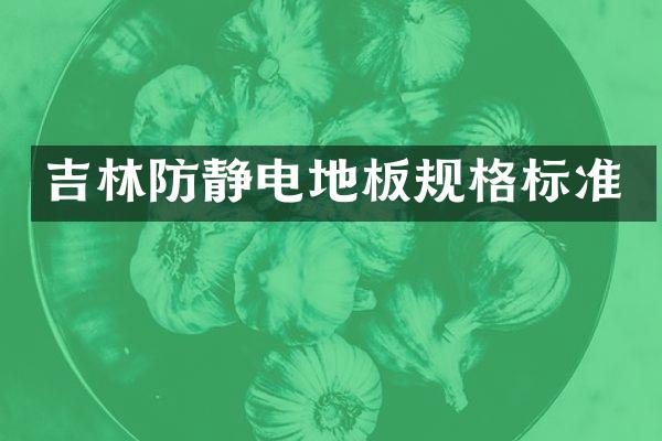 吉林防静电地板规格标准