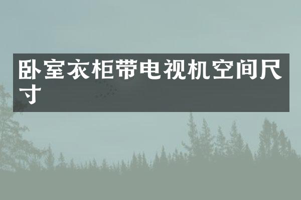 卧室衣柜带电视机空间尺寸