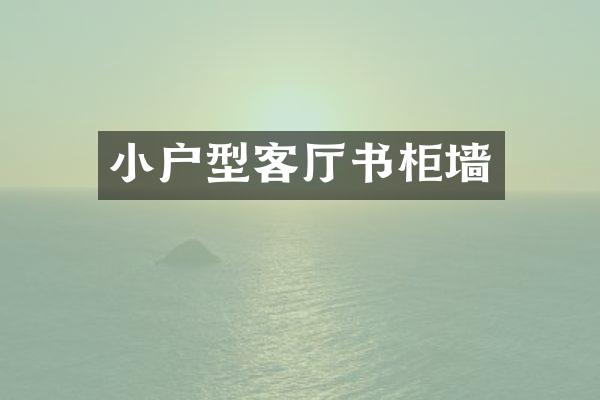 小户型客厅书柜墙