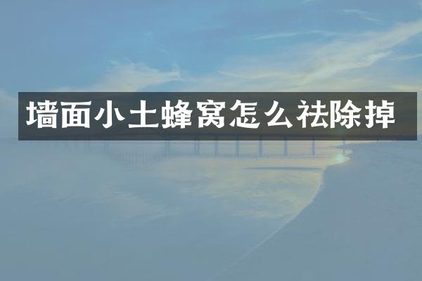 墙面小土蜂窝怎么祛除掉