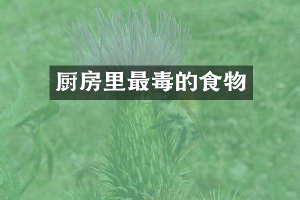 厨房里最毒的食物