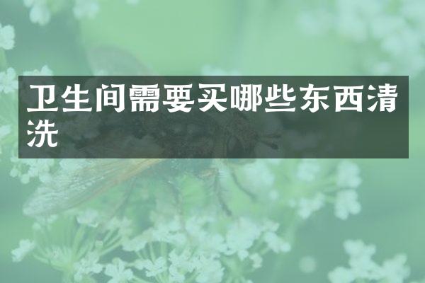 卫生间需要买哪些东西清洗