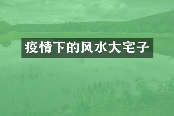 疫情下的风水大宅子