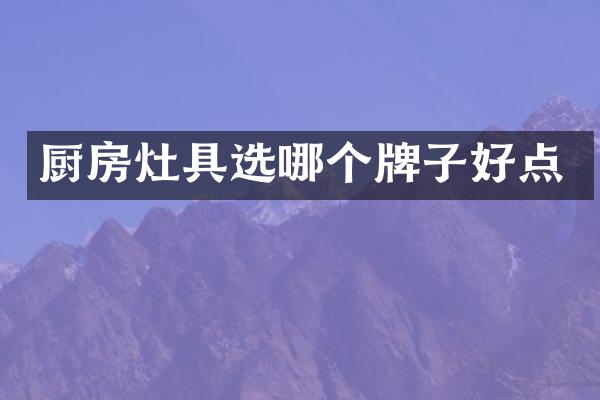 厨房灶具选哪个牌子好点