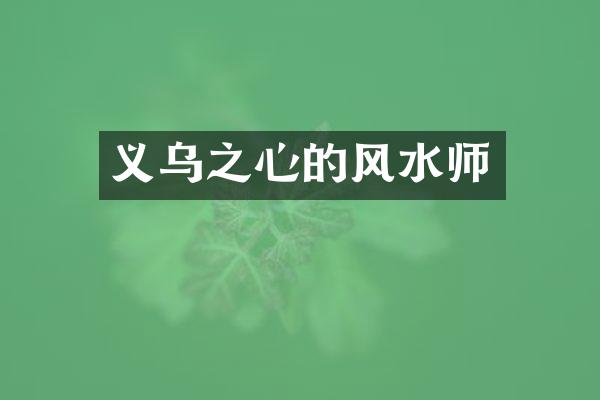 义乌之心的风水师