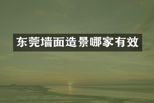东莞墙面造景哪家有效