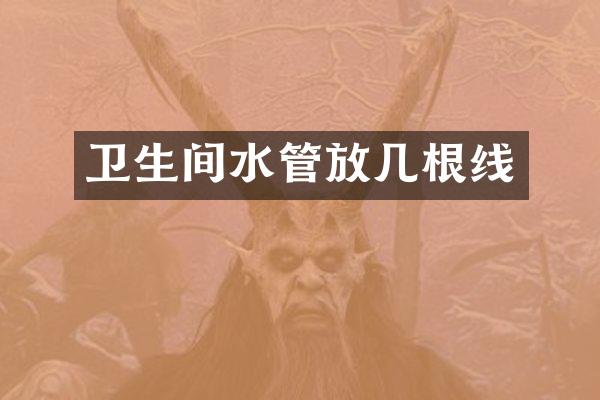 卫生间水管放几根线