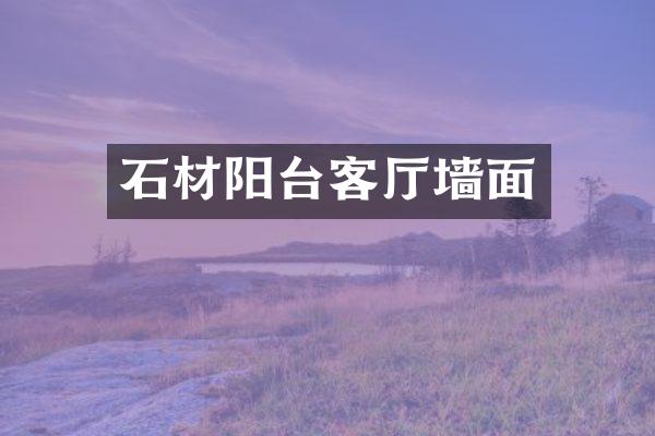 石材阳台客厅墙面