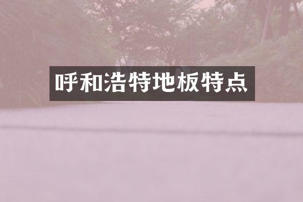 呼和浩特地板特点