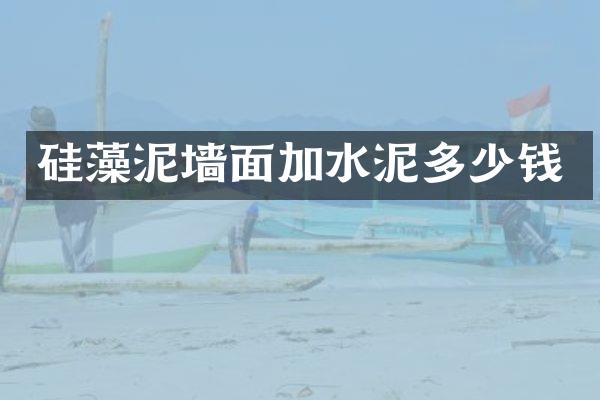 硅藻泥墙面加水泥多少钱