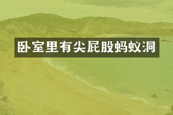 卧室里有尖屁股蚂蚁洞