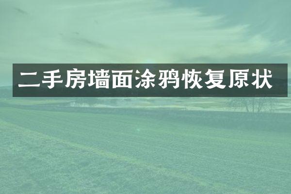 二手房墙面涂鸦恢复原状