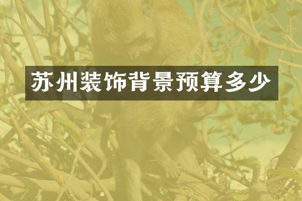 苏州装饰背景预算多少
