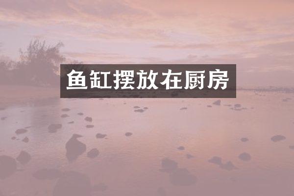 鱼缸摆放在厨房