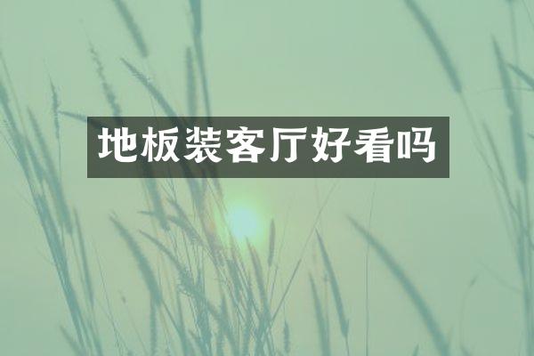 地板装客厅好看吗