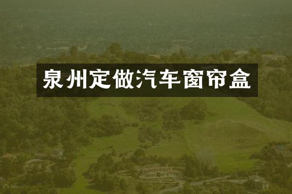 泉州定做汽车窗帘盒