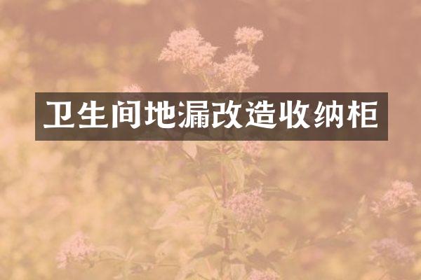 卫生间地漏改造收纳柜